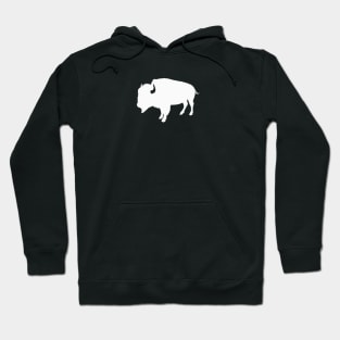 Wicked Decent-GWB Hoodie